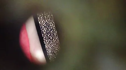 ช่างไฟฟ้าระยำแม่บ้าน busty ในหีฉ่ำ ดู คลิป วีดีโอ หนัง x